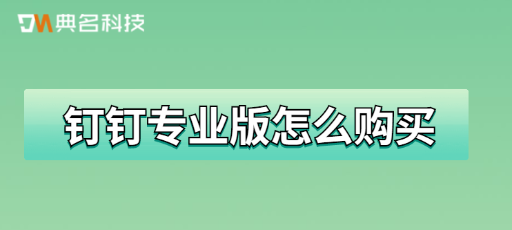 钉钉专业版采购:钉钉专业版怎么购买