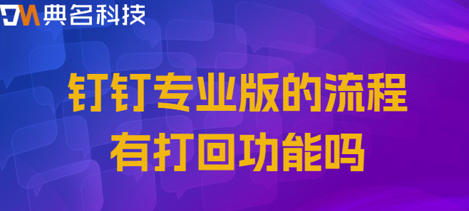 钉钉专业版的流程有打回功能吗