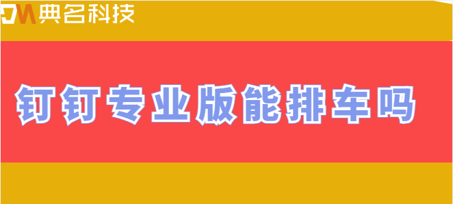 钉钉专业版能排车吗
