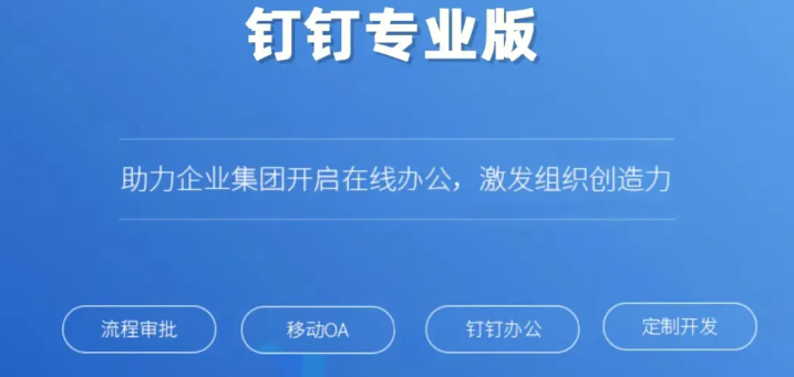 专业版钉钉:专业版钉钉多少钱