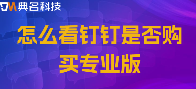怎么看钉钉是否购买专业版