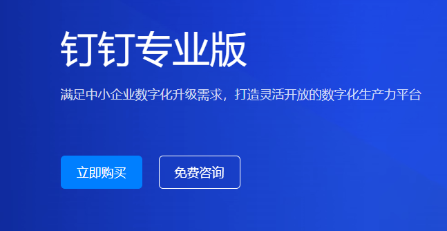 钉钉专业版能给客户带来什么价值