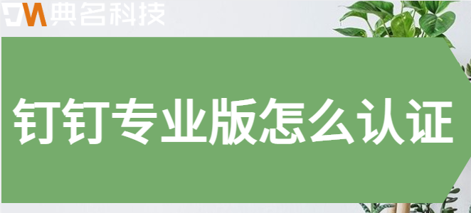 钉钉 专业版认证:钉钉专业版怎么认证
