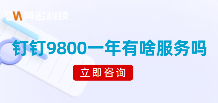钉钉9800一年有啥服务吗