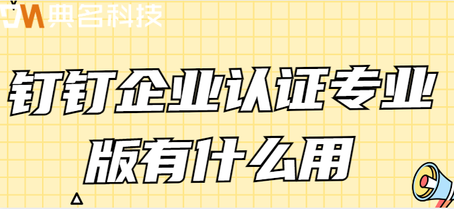 钉钉企业认证专业版有什么用