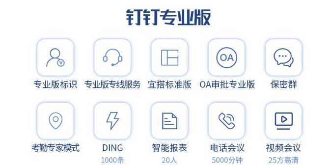 钉钉专业版人工在线服务:钉钉专业的功能有哪些