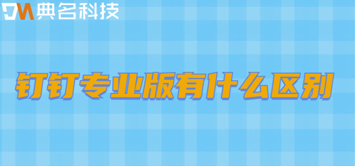 钉钉专业版有什么区别
