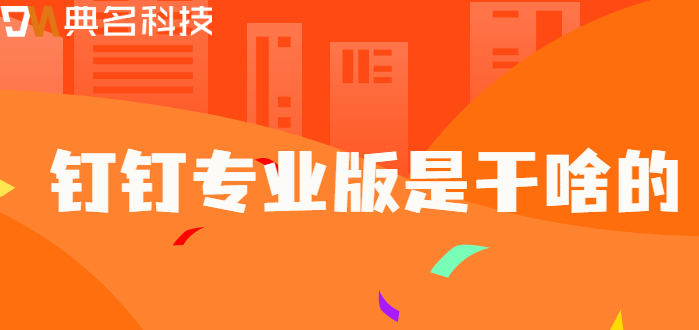 钉钉专业版是干啥的