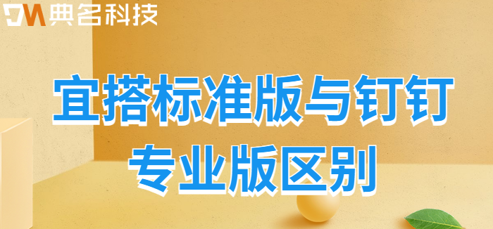 宜搭标准版 钉钉专业版：宜搭标准版与钉钉专业版区别