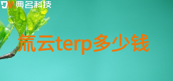氚云terp多少钱