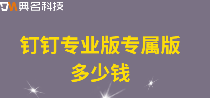 钉钉专业版专属版多少钱