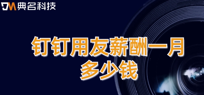 通用工资管理系统:钉钉用友薪酬一月多少钱