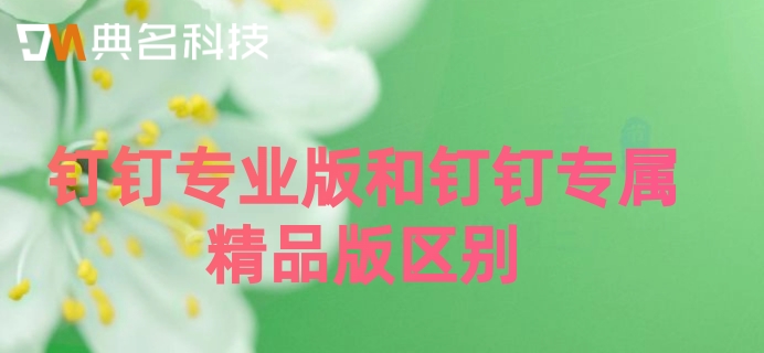 钉钉专业版和钉钉专属精品版区别