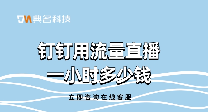 钉钉用流量直播一小时多少钱