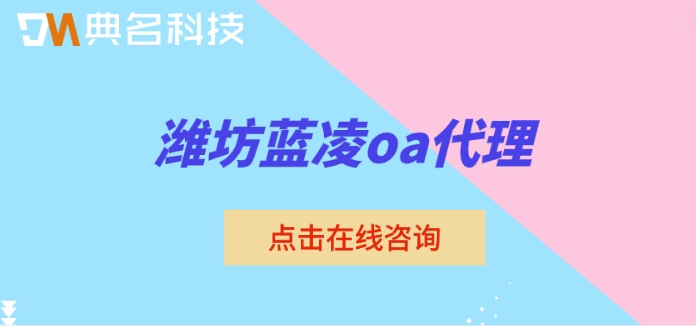 潍坊蓝凌oa代理：蓝凌oa代理服务商
