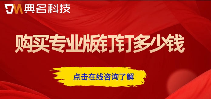 购买专业版钉钉多少钱
