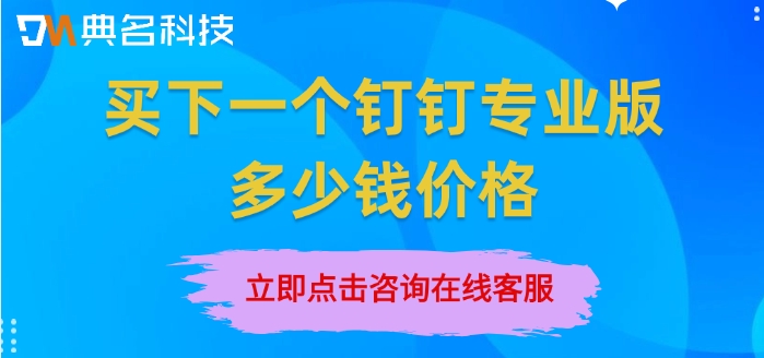 买下一个钉钉专业版多少钱