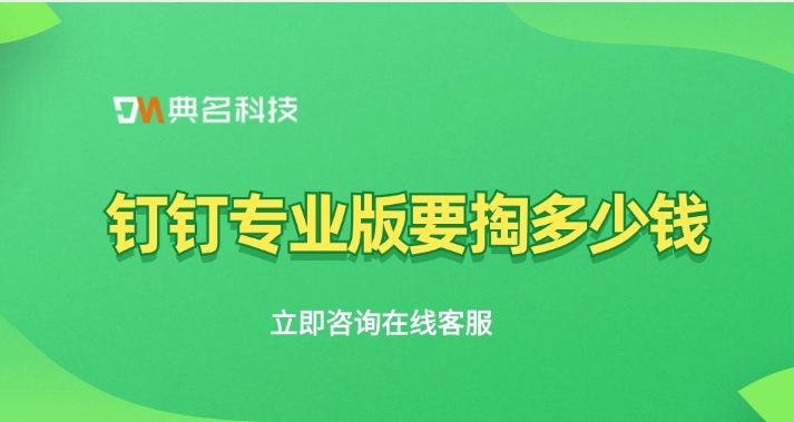 钉钉专业版要掏多少钱