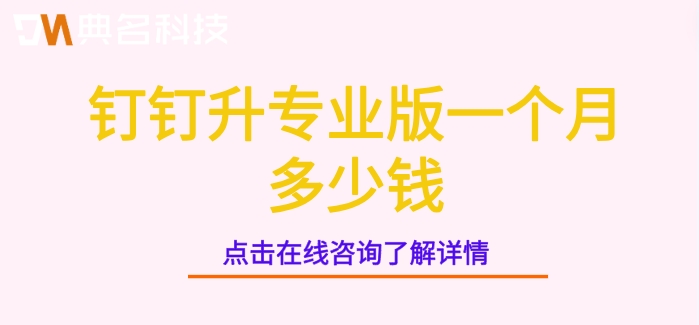 钉钉升专业版一个月多少钱
