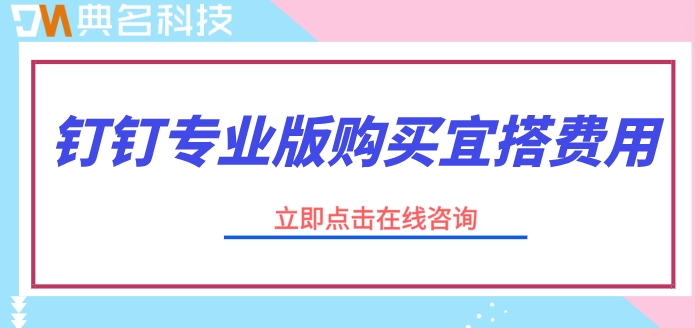 钉钉专业版购买宜搭费用:钉钉专业版多少钱