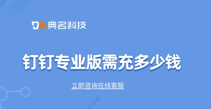 钉钉专业版需充多少钱