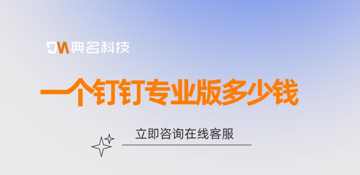一个钉钉专业版多少钱