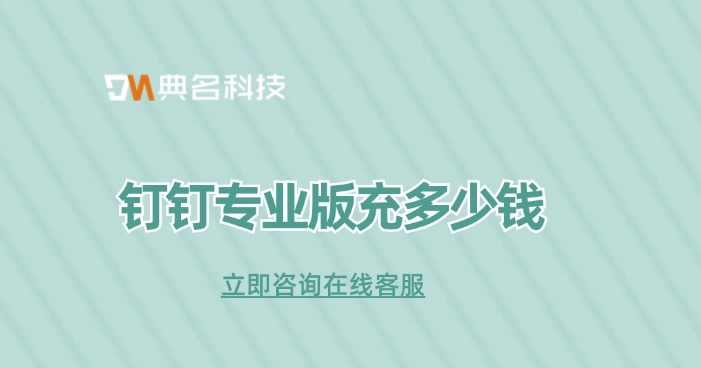钉钉专业版充多少钱