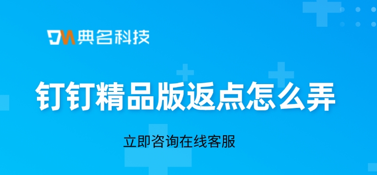 钉钉精品版返点怎么弄