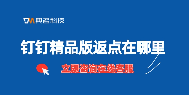 钉钉精品版返点在哪里