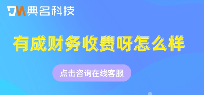 钉钉有成财务价格:有成财务收费呀怎么样