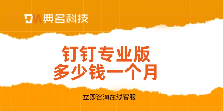 专业钉钉费用:钉钉专业版多少钱一个月