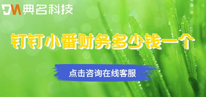 小微企业财务记账系统:钉钉小番财务多少钱一个