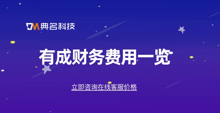 有成财务费用一览:钉钉有成财务有哪些特点