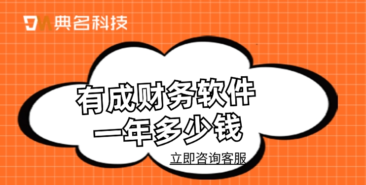 财务管理软件:有成财务软件一年多少钱