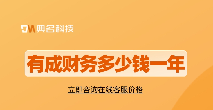 企业级财务管理软件:有成财务多少钱一年